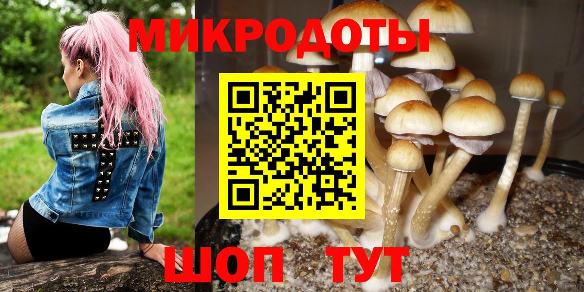 Галлюциногенные грибы мухоморы  Вход с VPN  Павловский Посад 